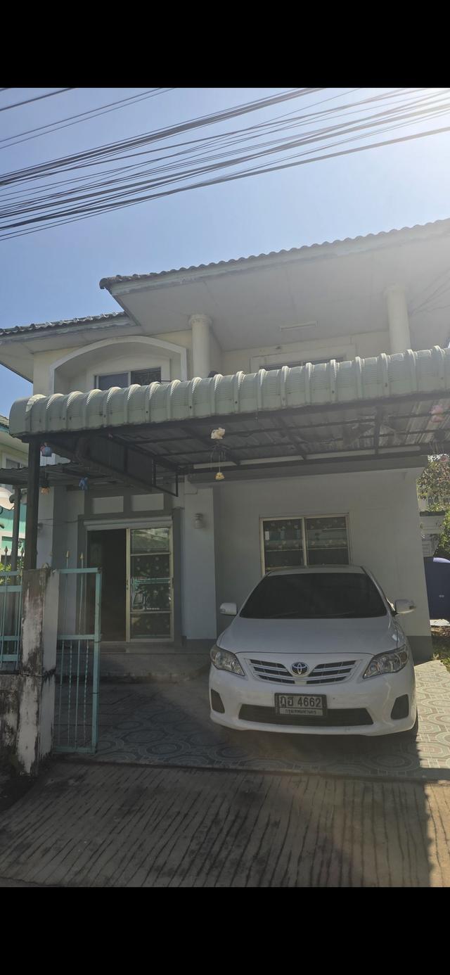 บ้านให้เช่า บ้านเดี่ยว 2 ชั้น 50 ตรว. 1