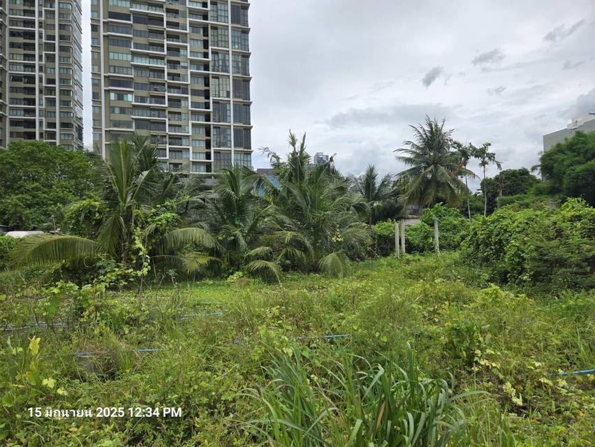 ขายที่ดิน ทำเลดี ซอยม้าศึก แยกจากซอยสุขุมวิท 26 (ซอยอารีย์) กรุงเทพมหานคร 4