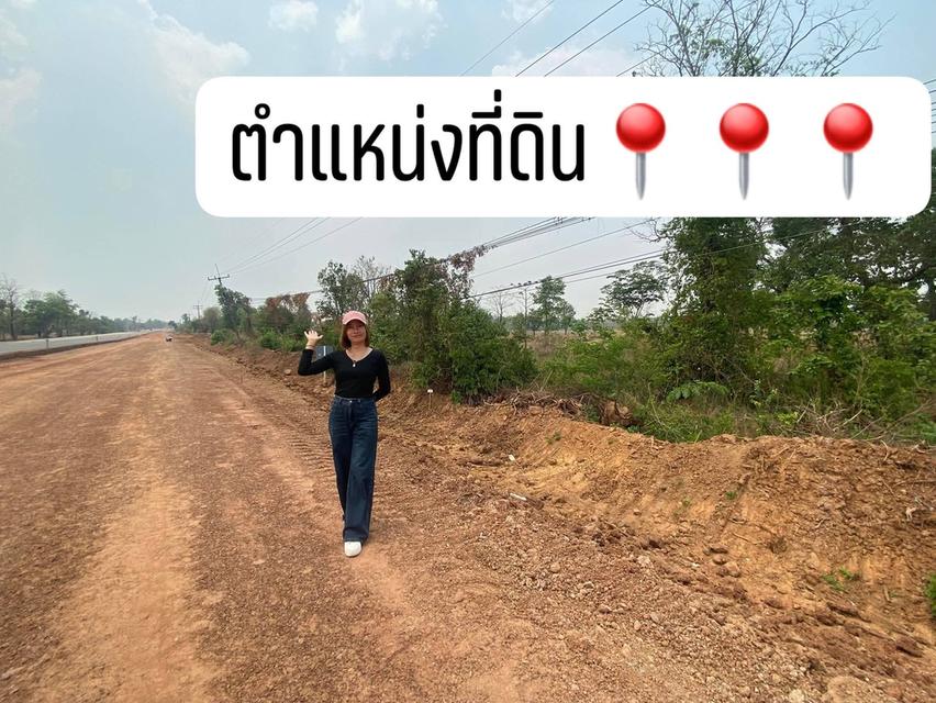 ที่ดินติดถนนหลักเส้นนาแก-พระซอง-เรณู24 ไร่ 3