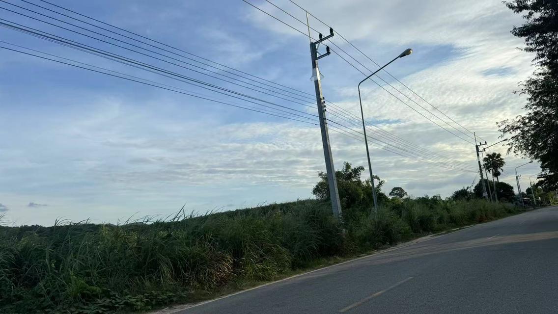 ขายที่ดินระยอง นิคมพัฒนา 49ไร่ 35.3ตร.ว *ผังสีม่วงลาย* 3