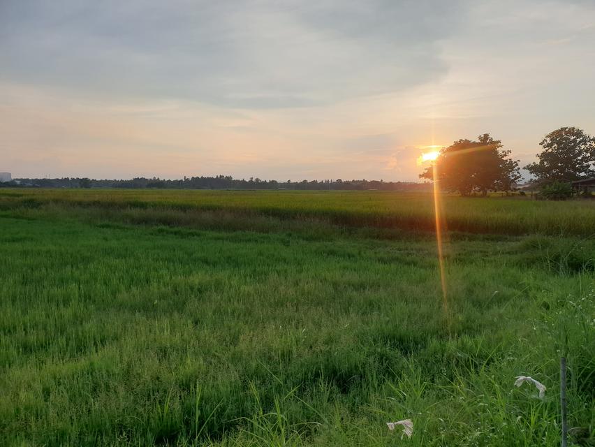 ที่ดิน 3