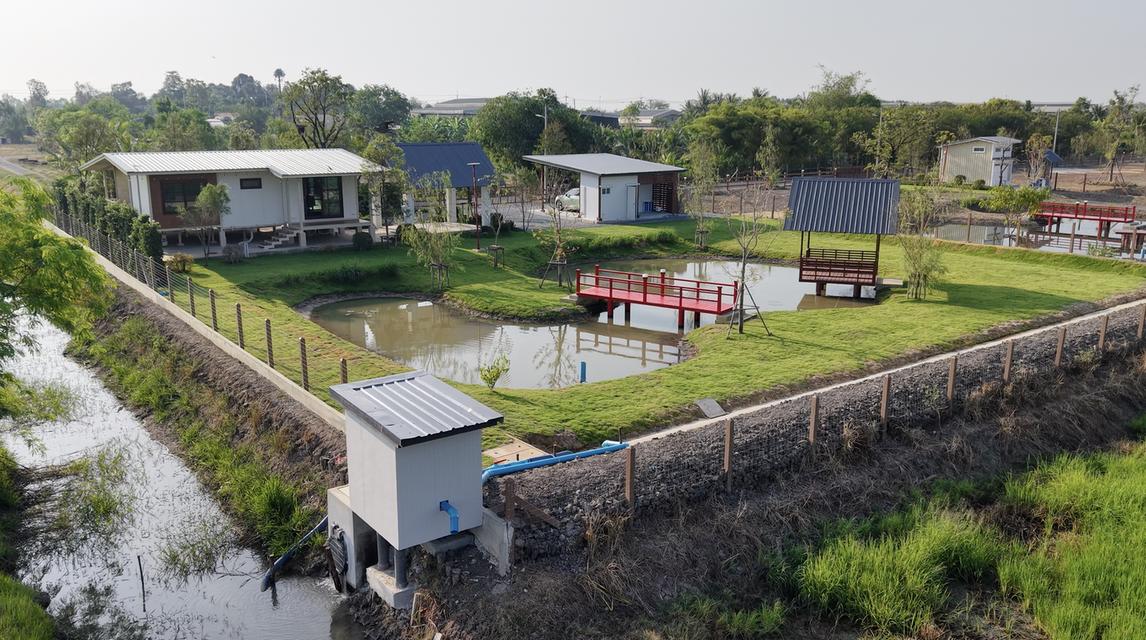 บ้านสวนโมริ ที่ดินสวนเกษตรพัฒนาแล้ว  สองพี่น้อง สุพรรณบุรี 6