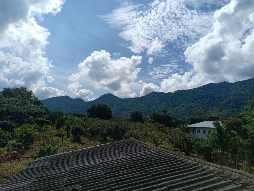 ที่ดิน2ไร่ โฉนดครุฑแดง เขาใหญ่ปากช่อง 3