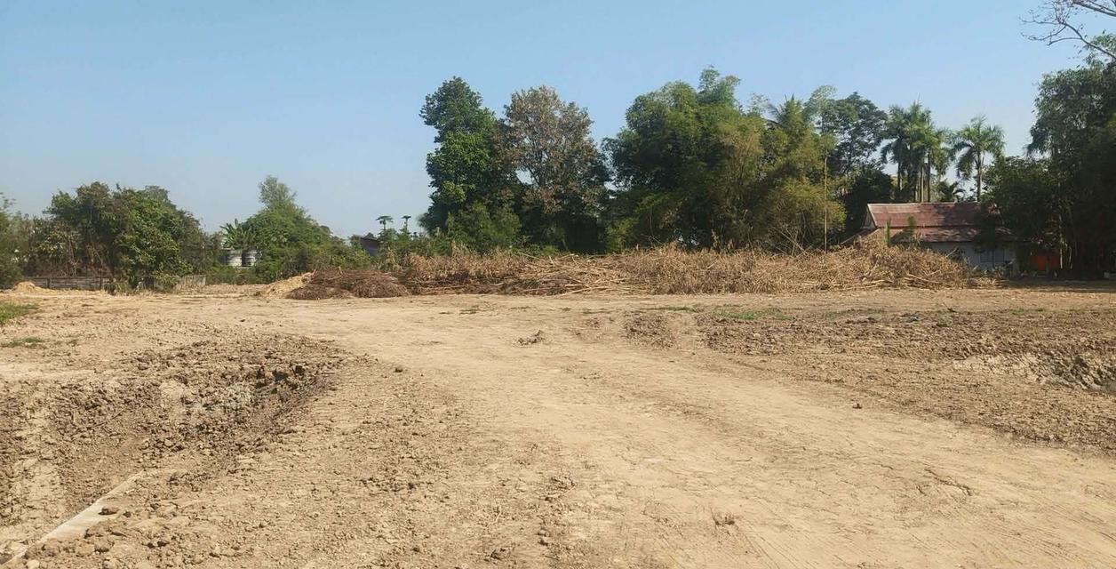 ขายที่ดิน ขนาดพื้นที่ 2 ไร่ 10 ตร.ว.  ราคา 4.99 ล้านบาท 4