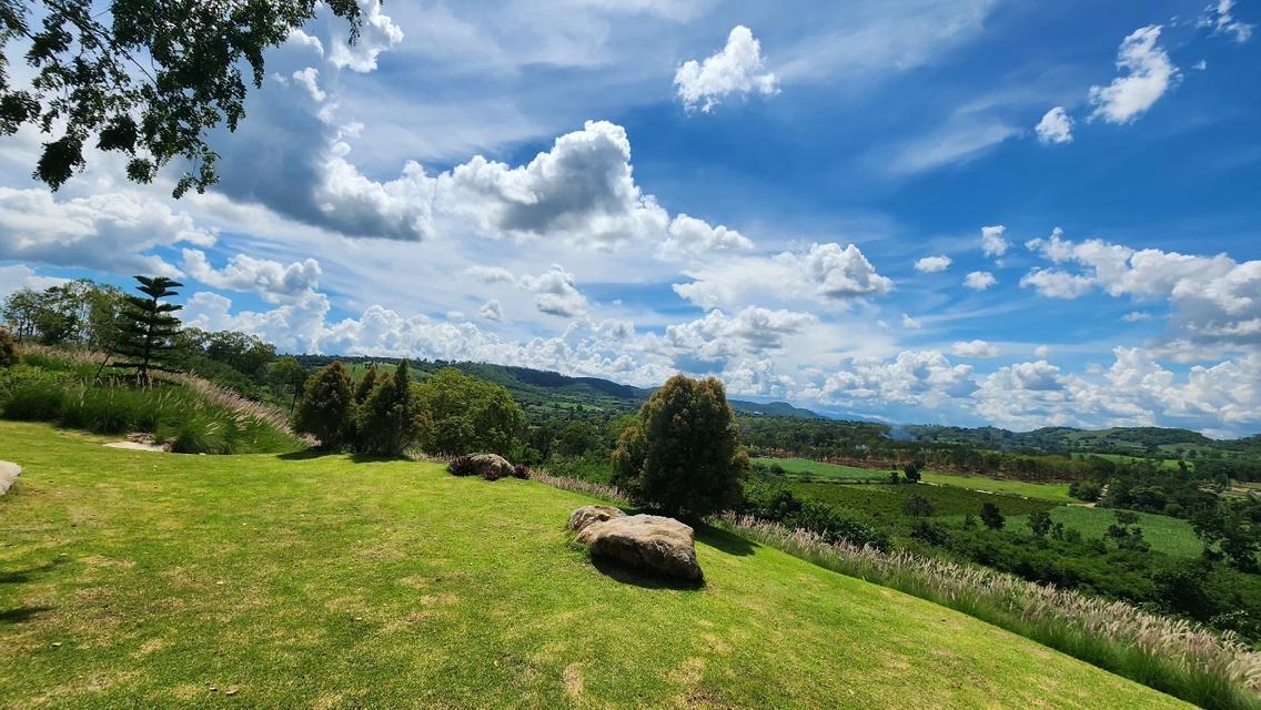 ขายที่ดินเขาใหญ่ บนเนินเขา *วิว360องศา ( ที่ดินจัดสรรฯ แบ่งแปลง )  อากาศบริสุทธิ์ (ราคาพิเศษ) เนื้อที่เริ่มต้น 300 ตารางวา  อ.ปากช่อง จ.นครราชสีมา 9