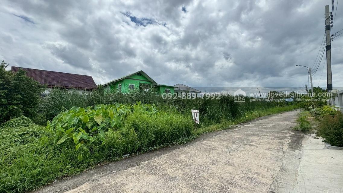 ขายที่ดิน ซอยบรมราชชนนี74 แยก9/14 พื้นที่ 50 ตรว. ราคาถูก ใกล้มหาวิทยาลัยมหิดล ศาลายา 2