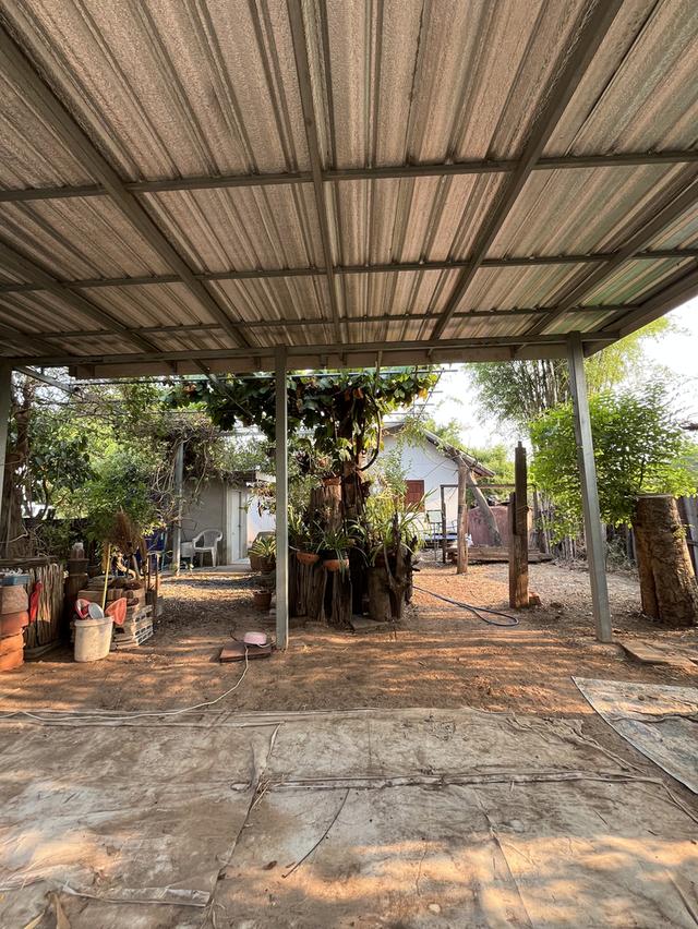 🔥 ที่ดินวิวพระอาทิตย์ตก ใจกลางอุดร 100 ตรว. ทำเลหายาก! ใกล้ UD TOWN 🌅 4