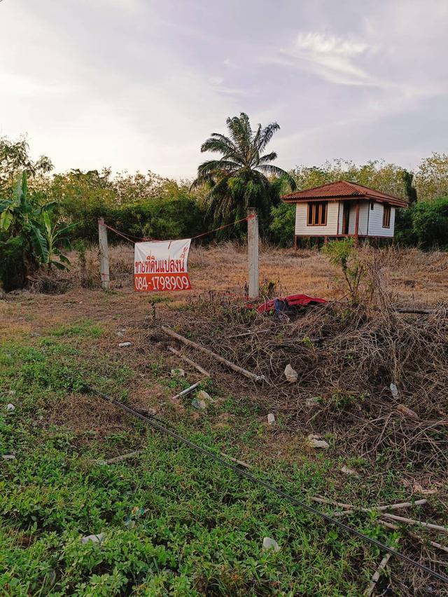 ที่ดินเปล่าถมแล้วขนาด1ไร่3งาน81ตร.ว. ที่ติดถนนใหญ่ ตรัง-สิเกา ห่างจากอำเภอเมืองตรัง 6กม. ด้านข้างติดคลองนา 2
