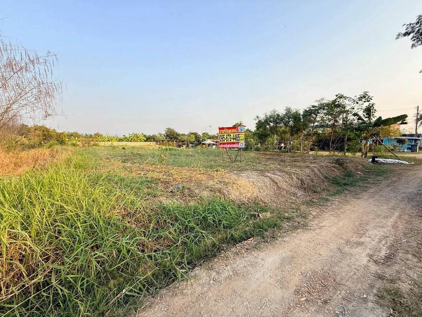 ขายด่วนที่ดินตรงข้ามซีพีแรม(สนง.ใหญ่) 200 ตรว ถมสูงกว่าถนน อ.ลาดหลุมแก้ว จ.ปทุมธานี 1