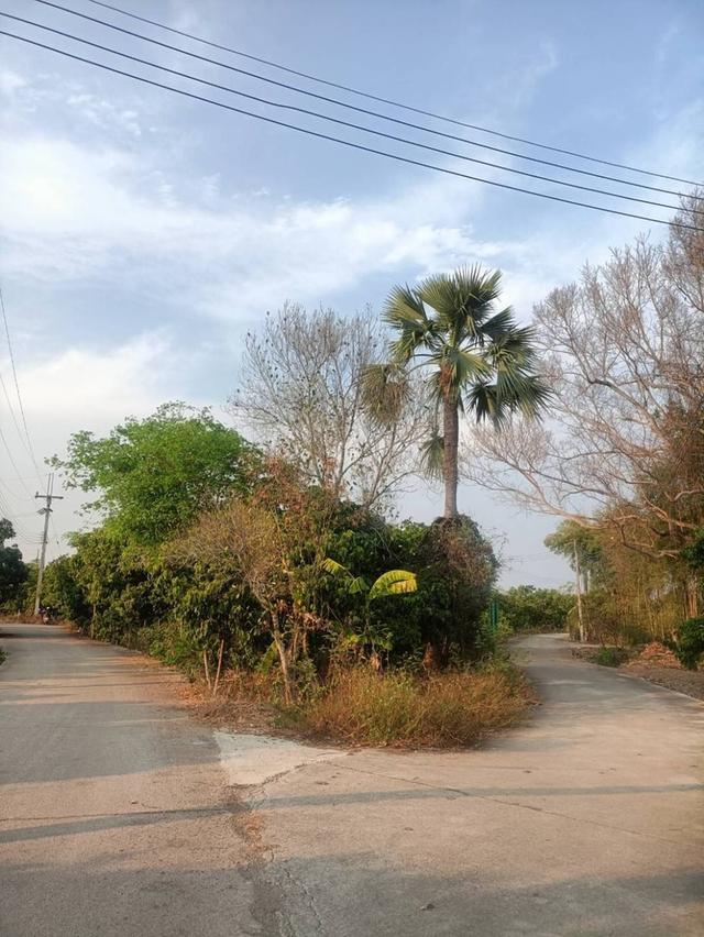 ขายที่ดินโฉนดครุฑแดง (เจ้าของขายเอง) 1