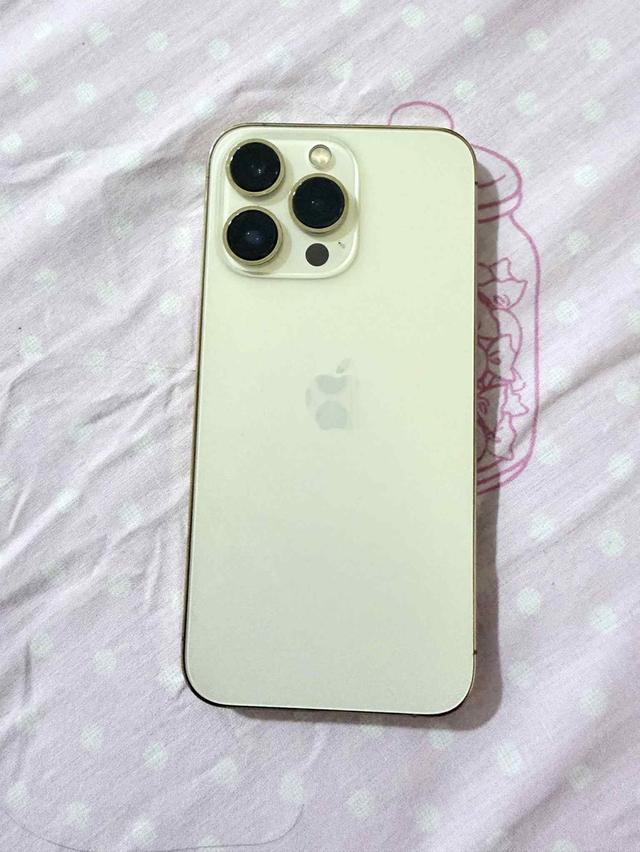 Iphone 13 Pro 256 GB