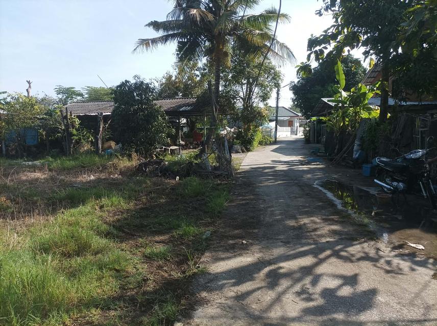 ขายที่ดิน 110ตร.ว. ต.ป่าป้อง อ.ดอนสะเก็ด จ.เชียงใหม่ 7