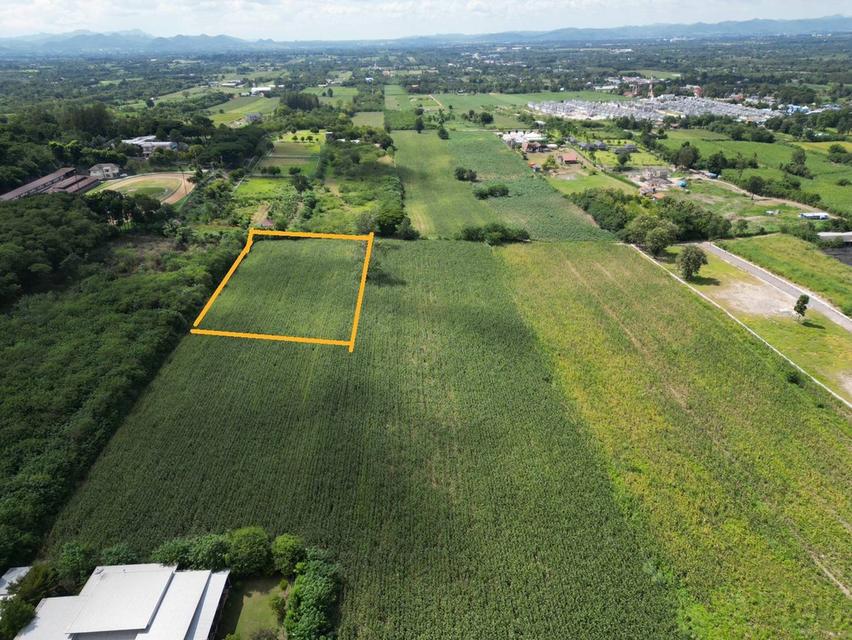 🔥 ขายที่ดินทำเลดี ปากช่อง นครราชสีมา 🔥 2