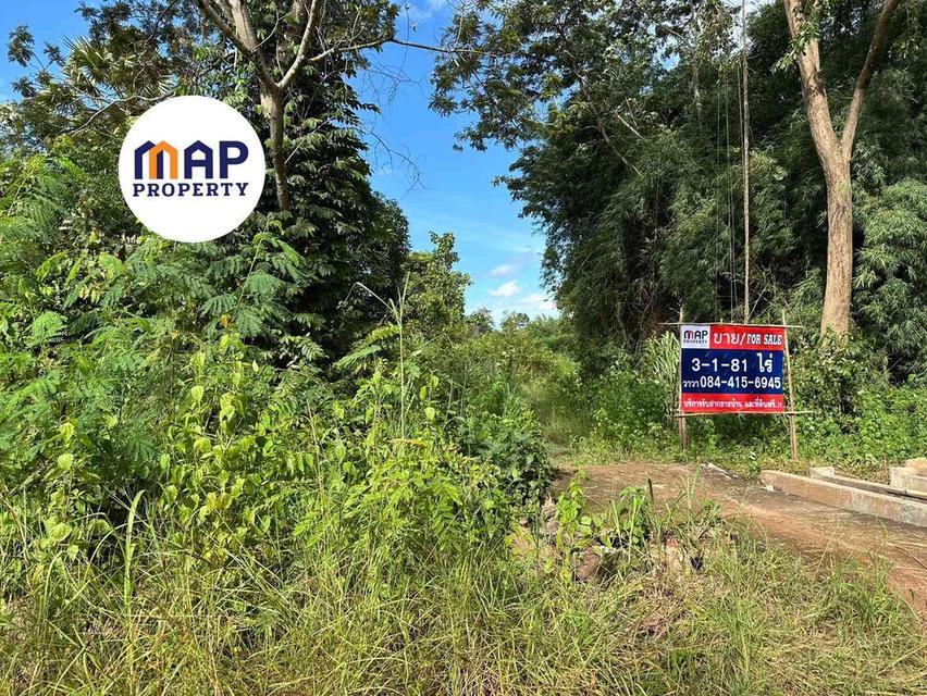 เนรมิต "บ้านสวน" ในฝัน! ที่ดินผืนงาม 3 ไร่กว่า บรรยากาศร่มรื่น ใกล้ชิดธรรมชาติ เอาใจนักท่องเที่ยว 3
