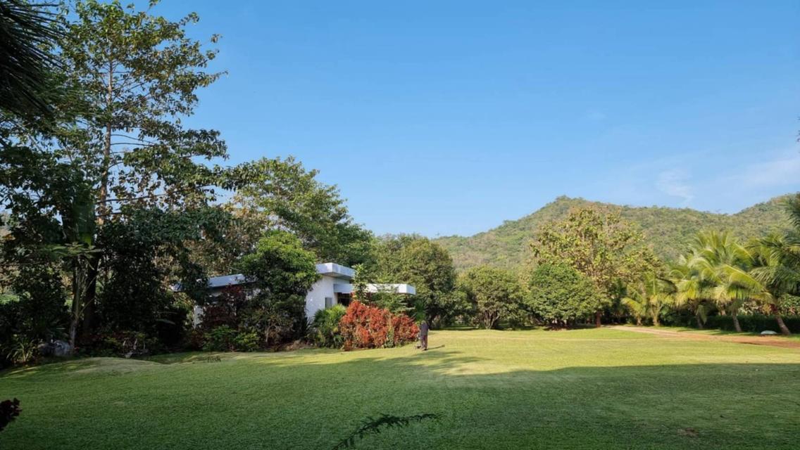 ขายบ้านสวนเขาใหญ่ พร้อมสวนผลไม้ ไม้เศรษฐกิจ ที่ดิน19ไร่ เขาวง หนองน้ำแดง ปากช่อง วิวเขาสวย ติดถนนลาดยาง7165 ใกล้มิตรภาพ มีภบท.ท้ายที่อีก9ไร่ รวม27ไร่