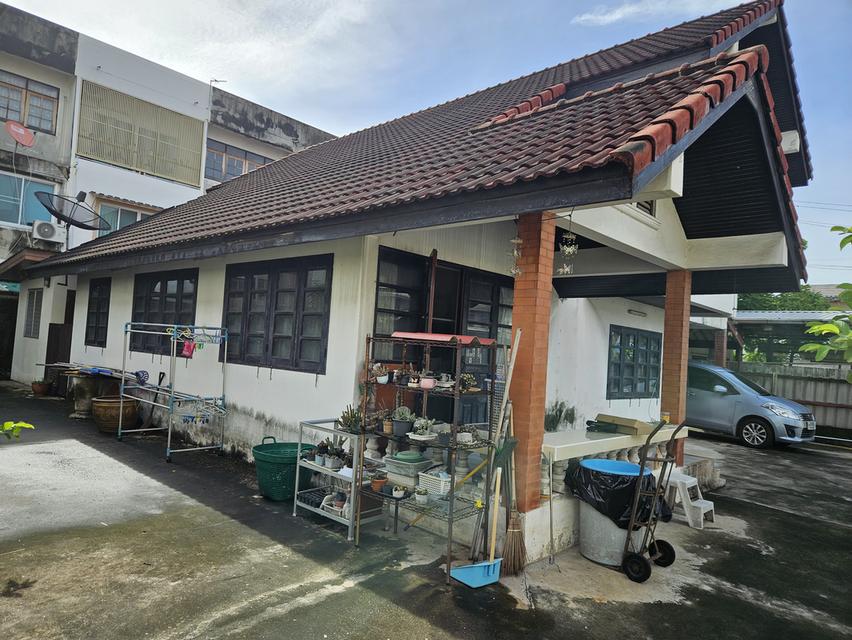 ขายบ้านเดี่ยวพร้อมที่100ตรว.พหลโยธิน48 3