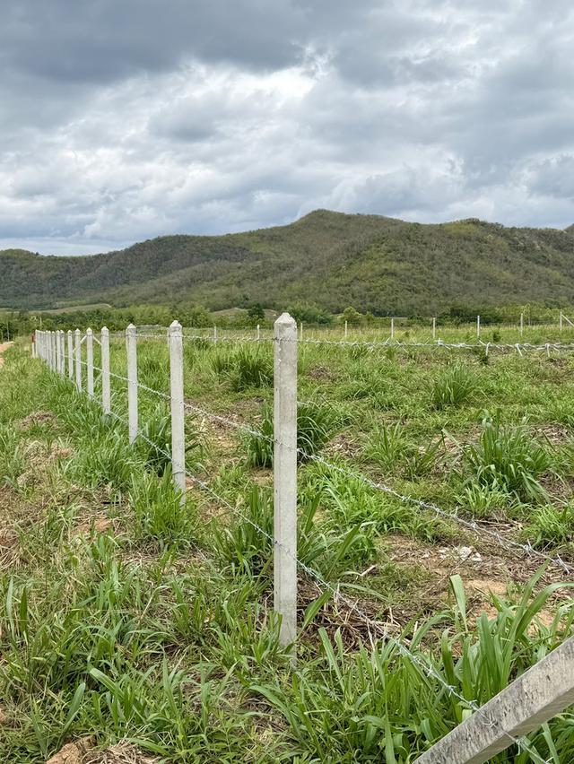ที่ดินเขาล้อม 360 องศา ติดน้ำ ล้อมรั้วแล้ว ราราถูก 3