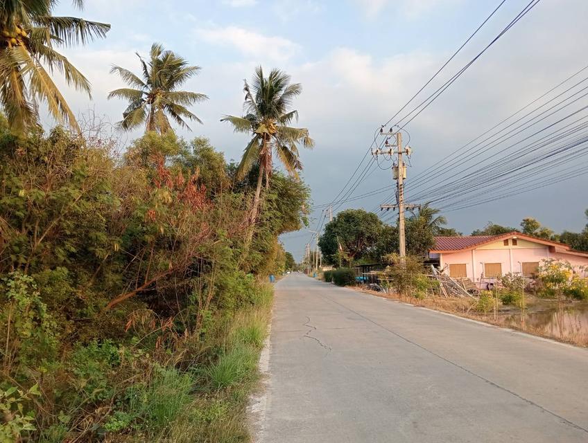 ขายที่ดิน ทำเลดี ที่สวย 1