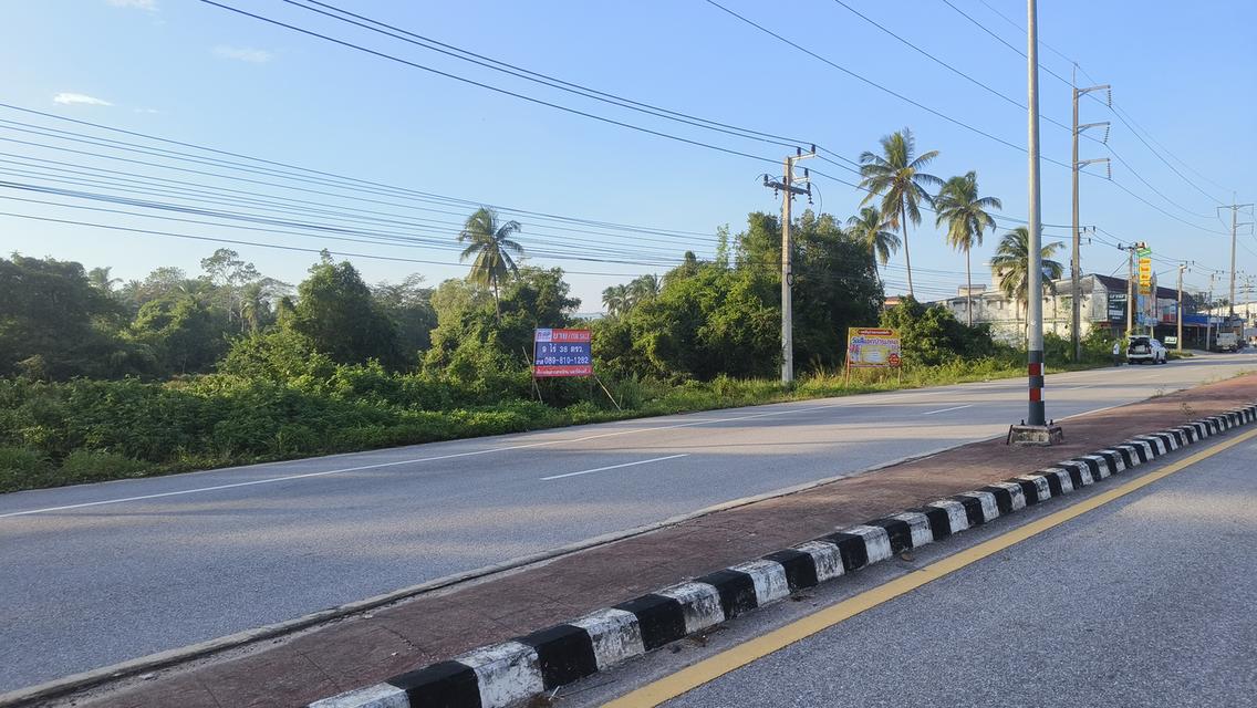 ขายด่วน ที่ดินติดถนนทางหลวงใกล้สี่แยกโจ่ย อ.บางสะพานน้อย 5