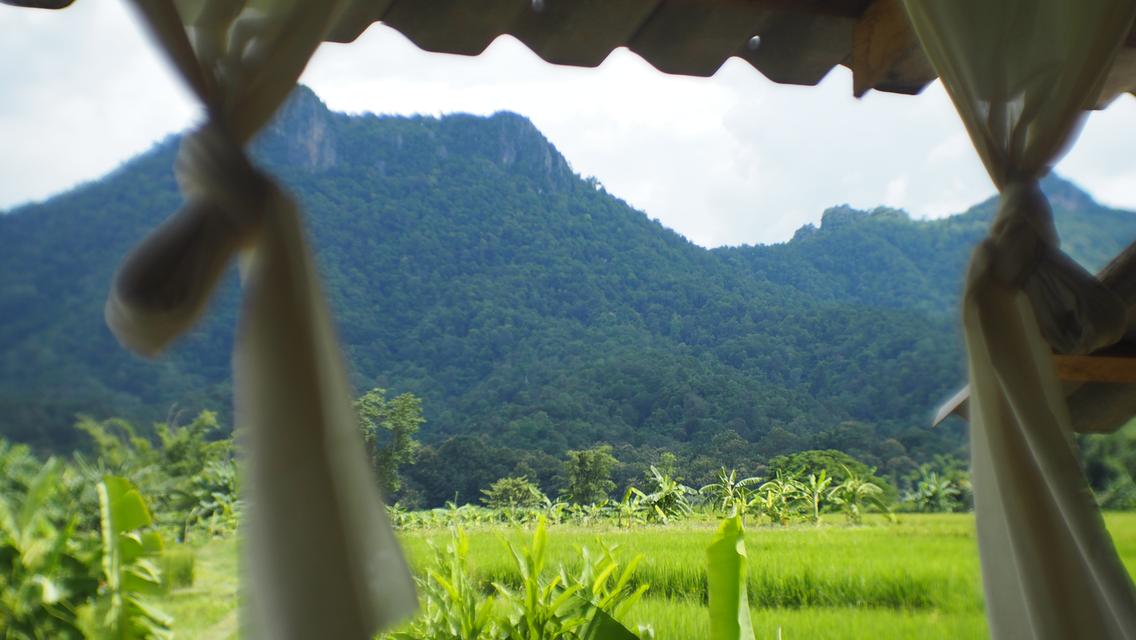 ที่ดิน จ.ลำปาง ที่นา วิวสวยบรรยากาศดี 11