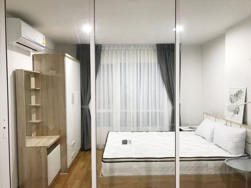 ให้เช่าคอนโด Regent Home Sukhumvit 81 (รีเจ้นท์ โฮม สุขุมวิท 81) BTS อ่อนนุช 1