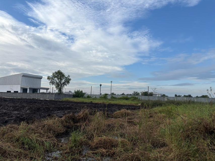 ขายที่ดินถมแล้ว 2 แปลงติดกัน พร้อมโฉนด คลอง 5 ธัญบุรี 2 งาน 80 ตรว. เข้าออกได้ 2 ทาง ใกล้มอเตอร์เวย์ ฟรีโอน 3