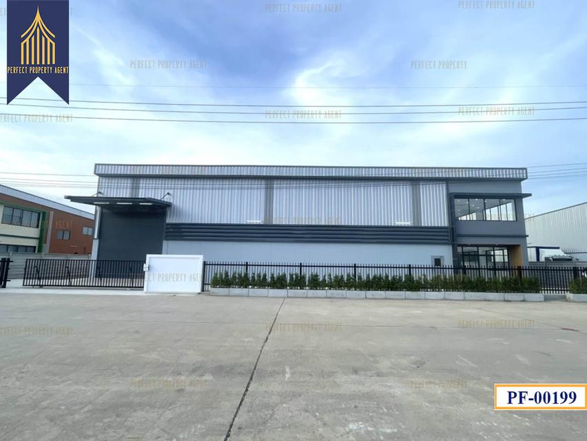 New Factory for sale สีม่วงเข้ม หลายขนาด ลำลูกกา ปทุมธานี 19