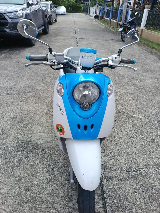 Fino 13