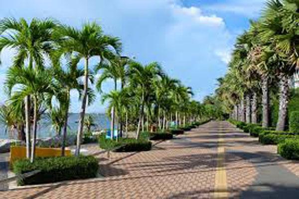 ที่ดิน ริมหาดกระทิงลาย(บางละมุง)พัทยา เนื้อที่่ 2-0-88 ไร่ แปลงหัวมุม 4