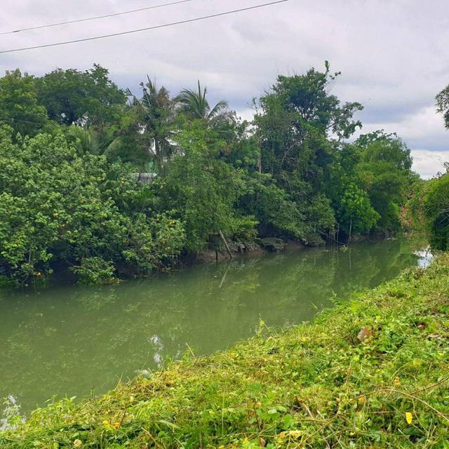 ที่ดินสวยติดแม่น้ำเพชรบุรี 6