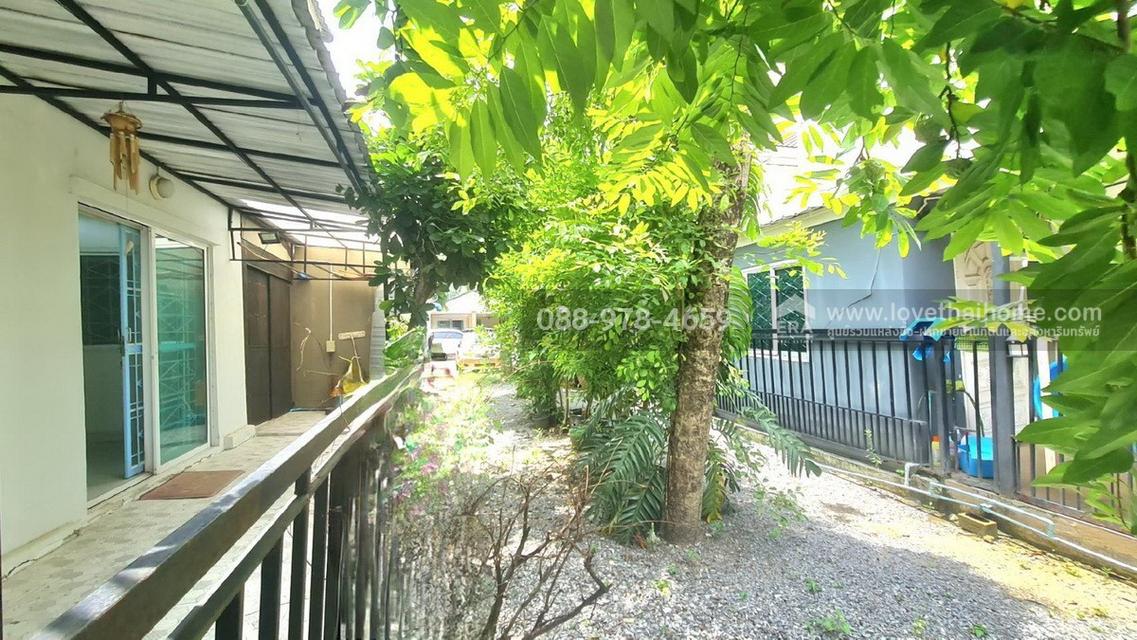 ขายบ้าน 16