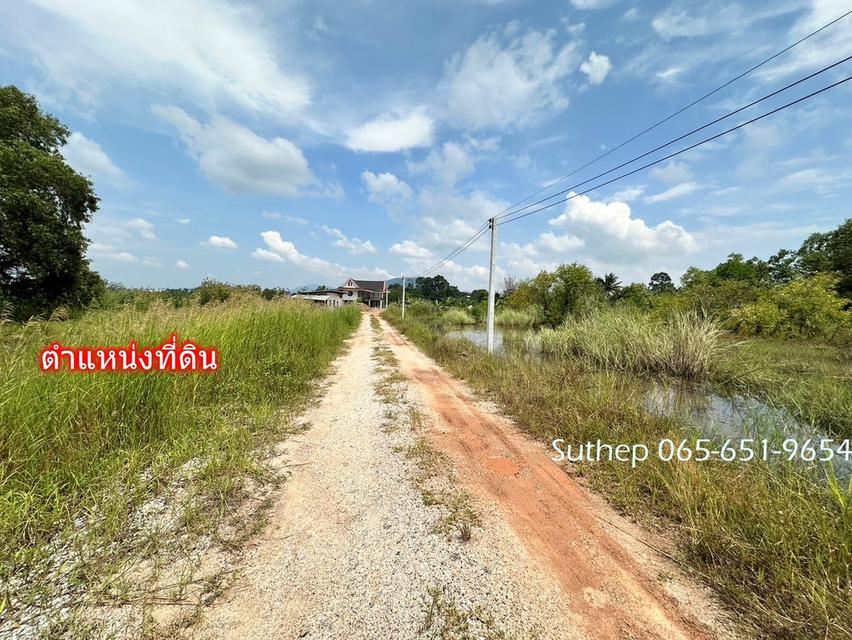 ขายที่ดินถมแล้ว 1-3-38 ไร่ ใกล้หาดแม่รำพึง 1 กม. ไฟฟ้า ประปาพร้อม ตะพง ระยอง 10
