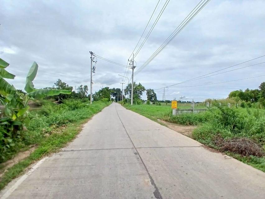 ขายที่ดิน ซอยวัดศรีประชาธรรม(วัดใหม่บัวชม) วังน้อย 4