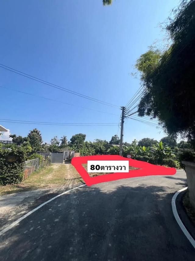 ที่ดินเปล่าถมแล้ว ต.เหมืองแก้ว อ.แม่ริม 1