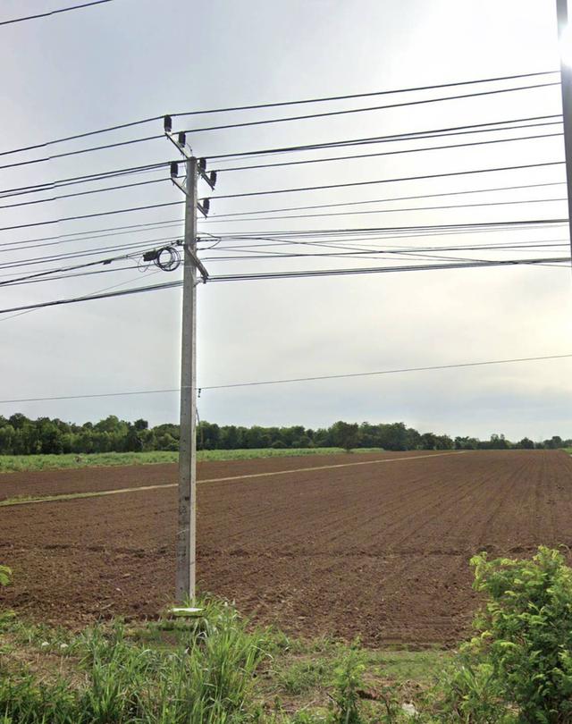 ขายที่ดิน27ไร่ตำบลท่าเยี่ยมอำเภอโชคชัยจังหวัดนครราชสีมา 2