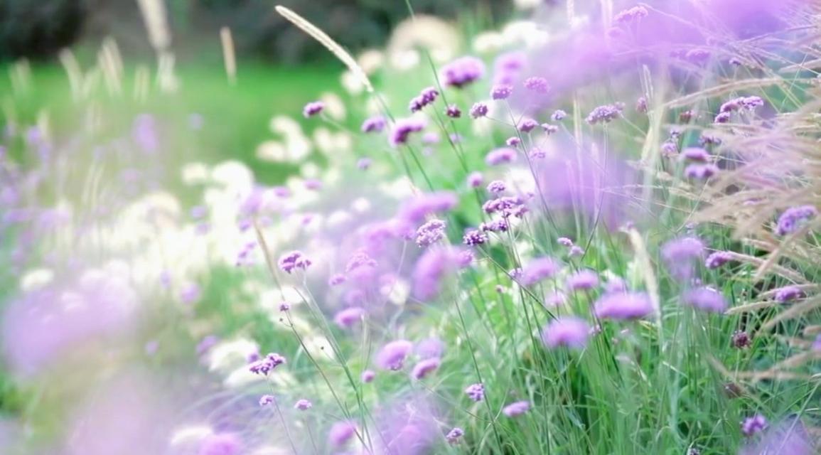 บ้านหรูสไตล์อังกฤษ กลางเมืองปากช่อง 10