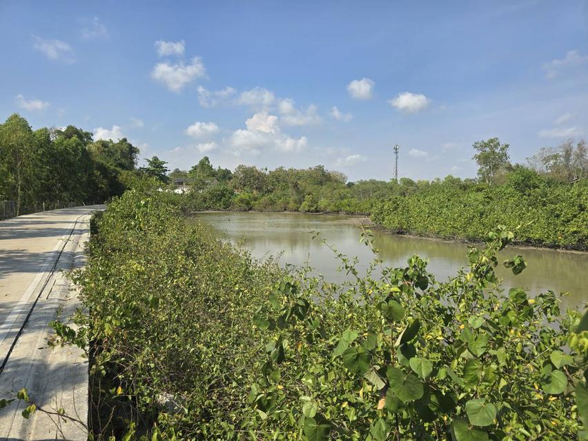 ที่ดิน มาบตาพุด ใกล้ทะเลเพียง 200 ม. 3