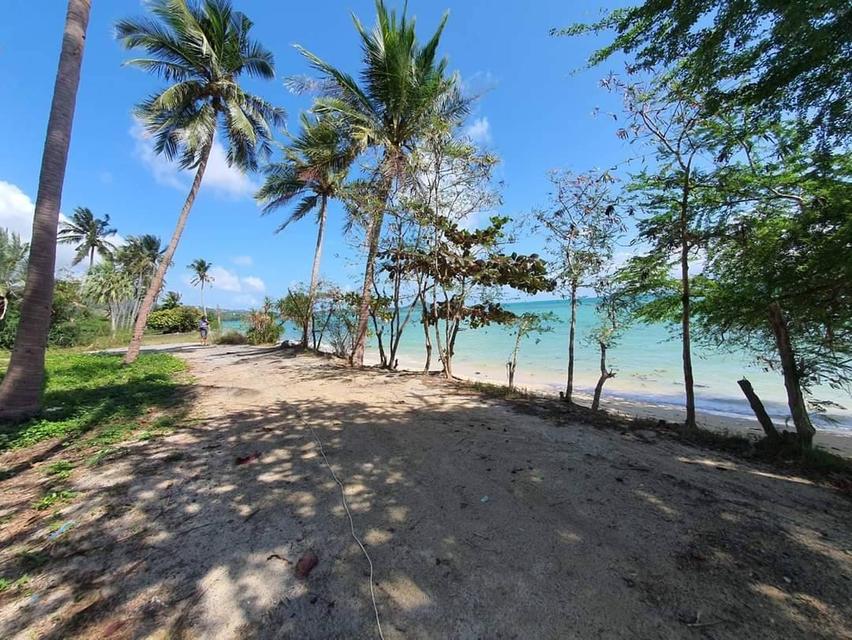 Prime Beachfront Land for Sale – Sunset Beach, Koh Samui 3