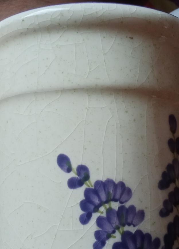 ดื่มด่ำงานศิลป์สไตล์ฝรั่งเศสกับเครื่องเซรามิก Hand-painted 🇫🇷✨