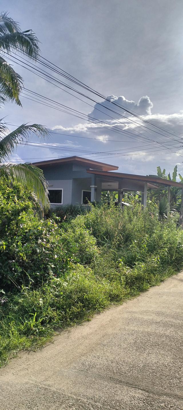 ที่ดินเปล่าทำเลทองติดถนน 7