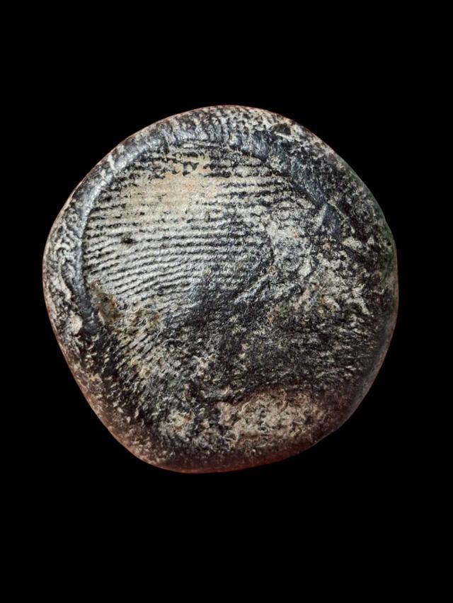 เปิดจ้า💞สนใจทักแชทได้เลยนะคะ 💚ส่งฟรีค่ะ 🥰 รูปที่ 3