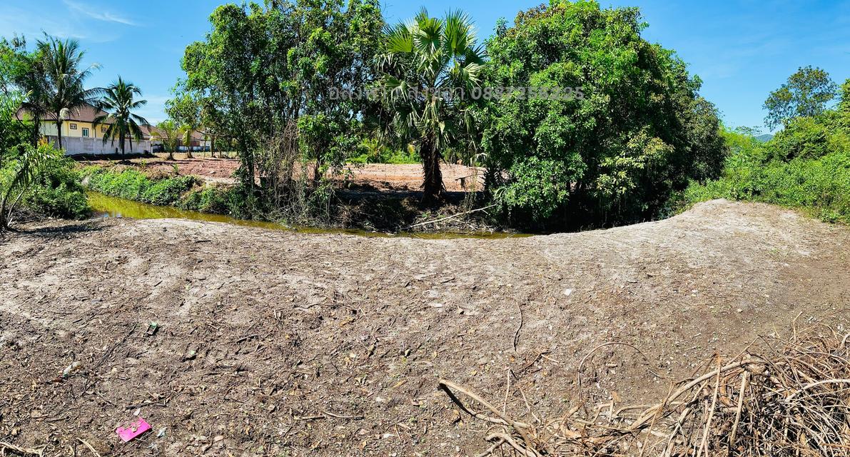 ที่ดิน 100 ตารางวา หลังติดคลองธรรมชาติ 3