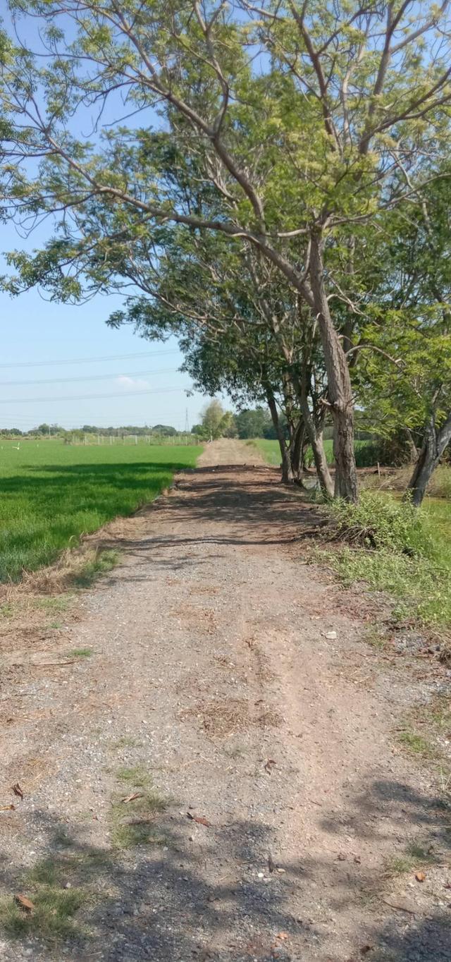 ขายที่ดินเปล่าตำบลราษฎร์นิยม ไทรน้อย เจ้าของขายเองรคาถูก 8