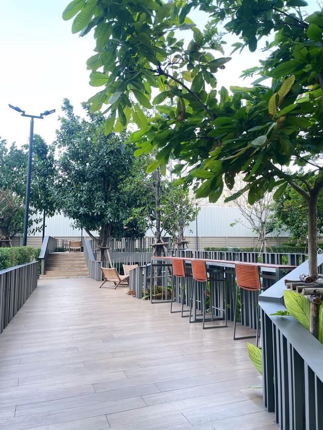 คอนโดดีไซน์ญี่ปุ่น ใจกลางสุขุมวิท ใกล้ BTS ทองหล่อ เหมาะสำหรับชาวต่างชาติและคนทำงานในเมือง 17