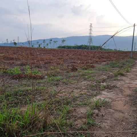 ขายที่ดินผังม่วงบ้านบึงชลบุรี ที่ดินอุตสาหกรรม 31-1-46 ไร่ ติดนิคม WHA | ทางสาธารณะ 3 ด้าน พื้นที่สีม่วงลาย 4