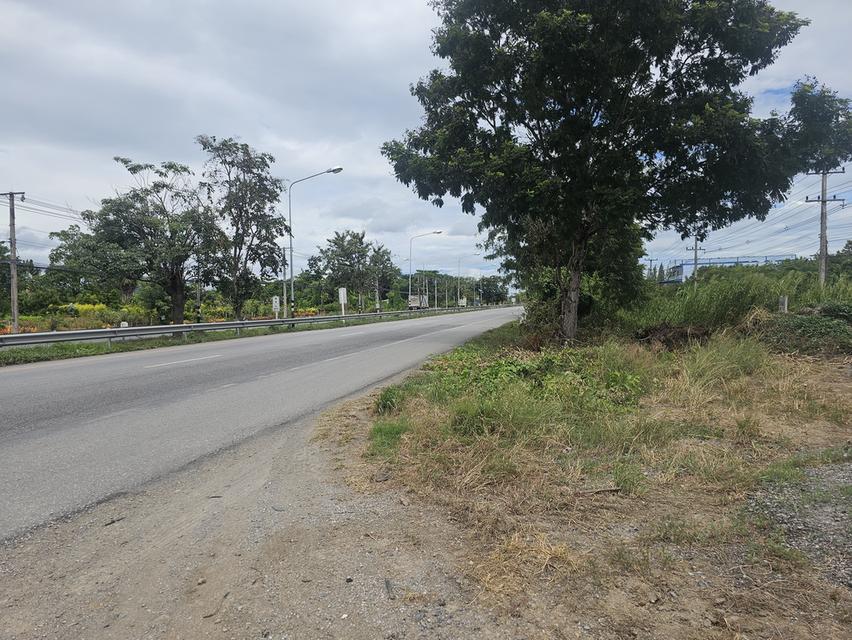 ขายที่ดิน ประจวบ กุยบุรี 4