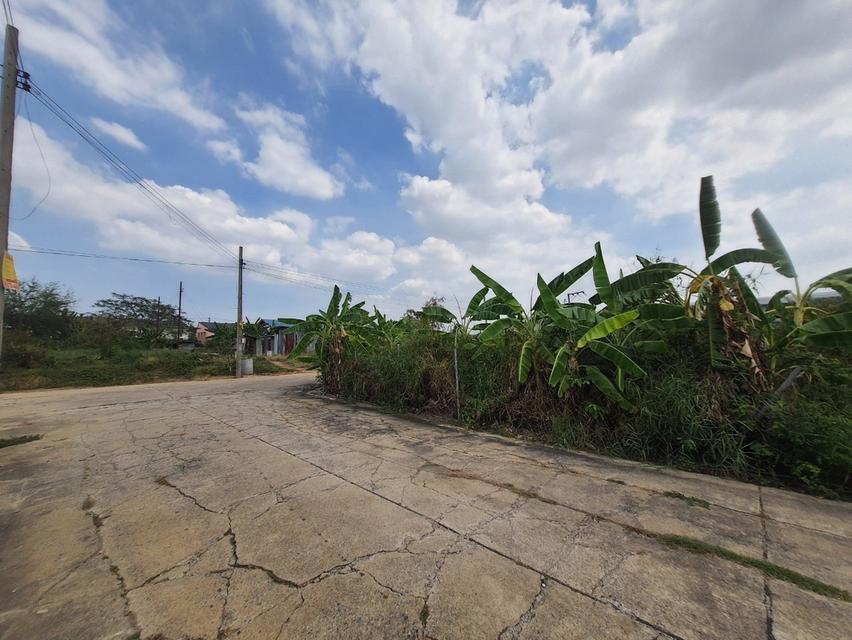 ที่ดิน 7