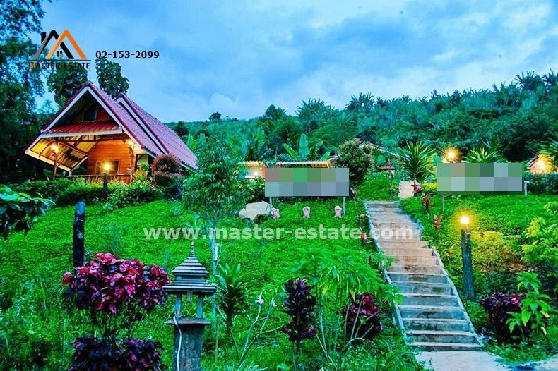 รีสอร์ทสวยบนเขาค้อ จ.เพชรบูรณ์ เนื้อที่ 4 ไร่ 2 งาน ในขุนเขากลางทะเลหมอก ขายพร้อมอุปกรณ์รีสอร์ท ดำเนินกิจการต่อได้ทันที 13