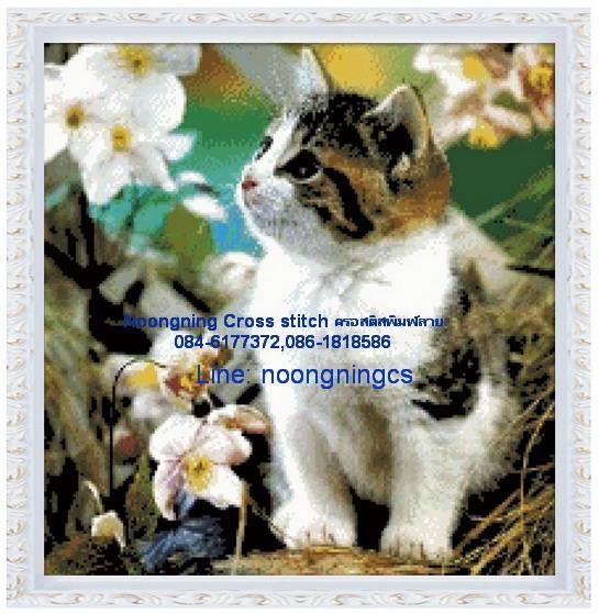 ร้าน Noongning Cross stitch ครอสติสพิมพ์ลาย จำหน่ายอุปกรณ์ครอสติส ภาพติดเพชร1312