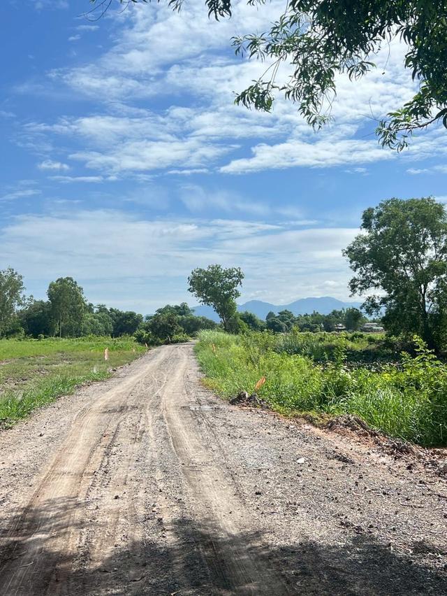 ที่ดินเงินสด ต.อาษา อ.บ้านนา จ.นครนายก 7